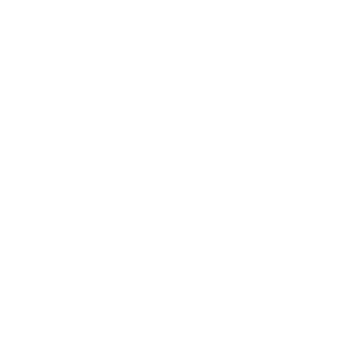 bible