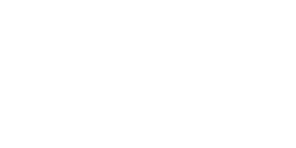 bn-blanco-logo.png